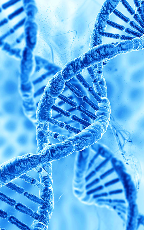 PDRN (پلی دی اکسی ریبونوکلئوتید)